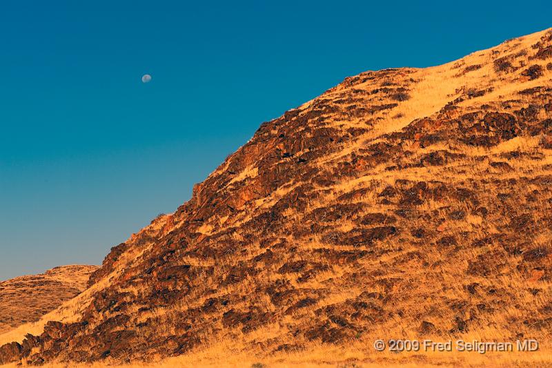 20090604_162057 D3 X1.jpg - Landscape, Skeleton Coast Park, Namibia